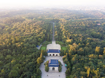 High angle view of trees and buildings in city