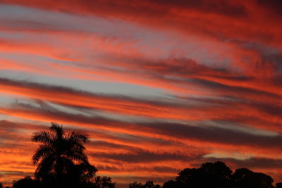 Low angle view of silhouette trees against dramatic sky