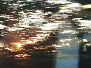 Reflection of trees on lake