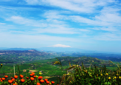 Scenic view of field against sky