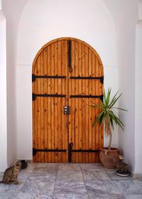 Potted plant on wooden door of building