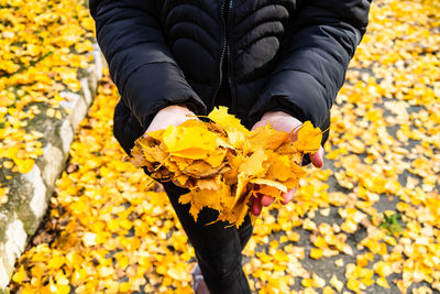 Midsection of woman holding maple leaves