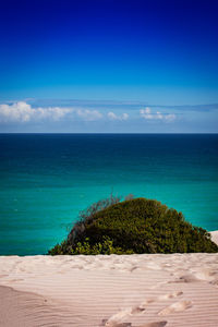 Scenic view of sea against blue sky