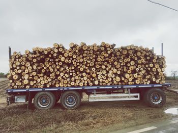 Stack of logs against sky