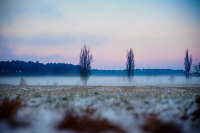 Scenic view of land against sky during sunset