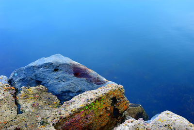 High angle view of rocks by sea