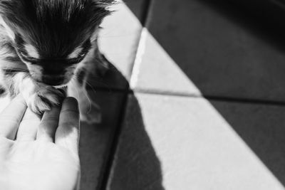 Cropped image of person with umbrella