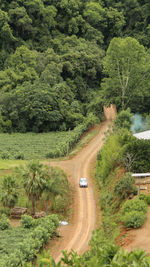 High angle view of road amidst trees in forest