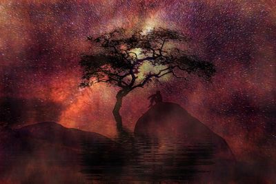 Trees on landscape against sky at night
