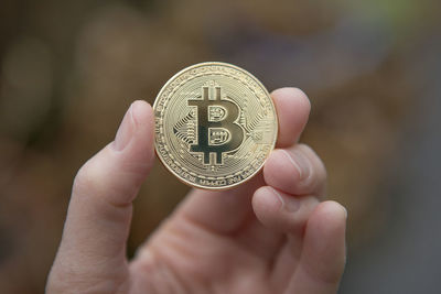 Cropped hand of person holding bitcoin