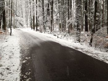 High angle view of snow covered empty road amidst trees