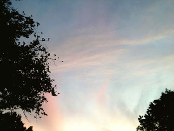 Low angle view of trees against sky