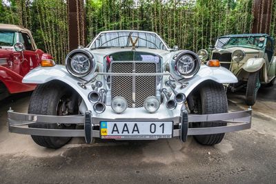 Vintage car parked against trees