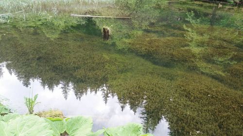 High angle view of man standing by lake