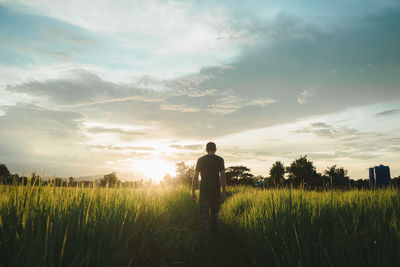 Rear view of man walking on field against sky