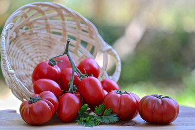 Close-up of tomatoes in basket on table