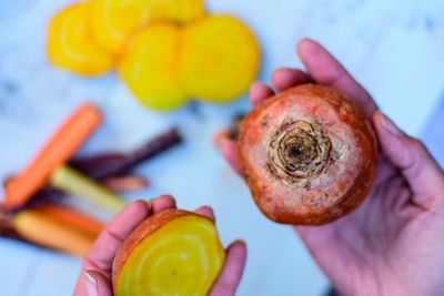 Close-up of hand holding fruit