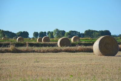 Hay bales on field against clear sky