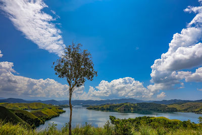 nature