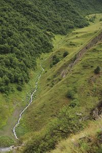 High angle view of trail on land