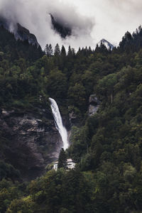 Waterfall in forest