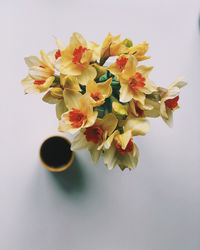 Close-up of flower vase against white background