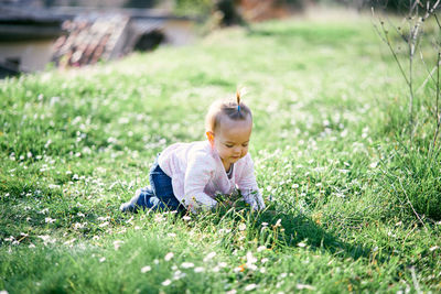 Cute boy in grass