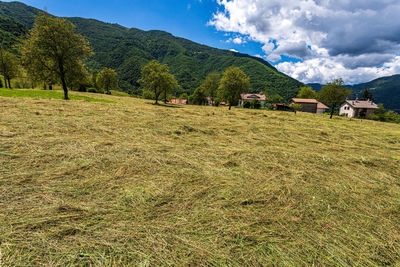 Scenic view of field against sky