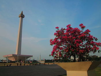 Low angle view of flowering plant against sky