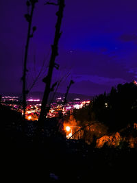 Silhouette trees against illuminated sky at night