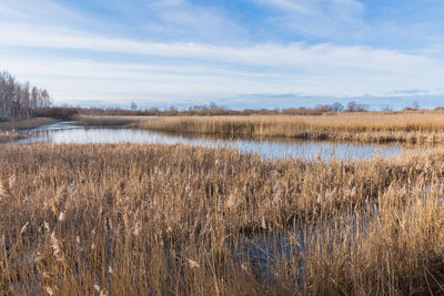 Scenic view of lake against sky