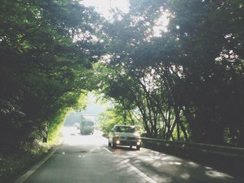 Road with trees in background