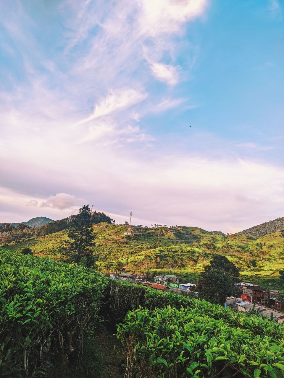 sky, nature, landscape, environment, cloud, hill, plant, land, scenics - nature, rural area, beauty in nature, rural scene, field, architecture, no people, agriculture, horizon, travel, building, tree, outdoors, morning, crop, tranquility, travel destinations, green, growth, sunlight, grass, flower, social issues, tourism, food and drink, built structure, house, environmental conservation, tranquil scene, valley, food, non-urban scene, blue