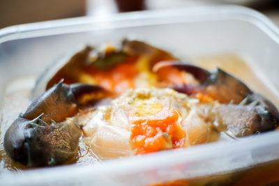 Close-up of meal served in plate