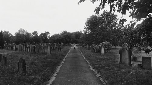 Treelined footpath along trees