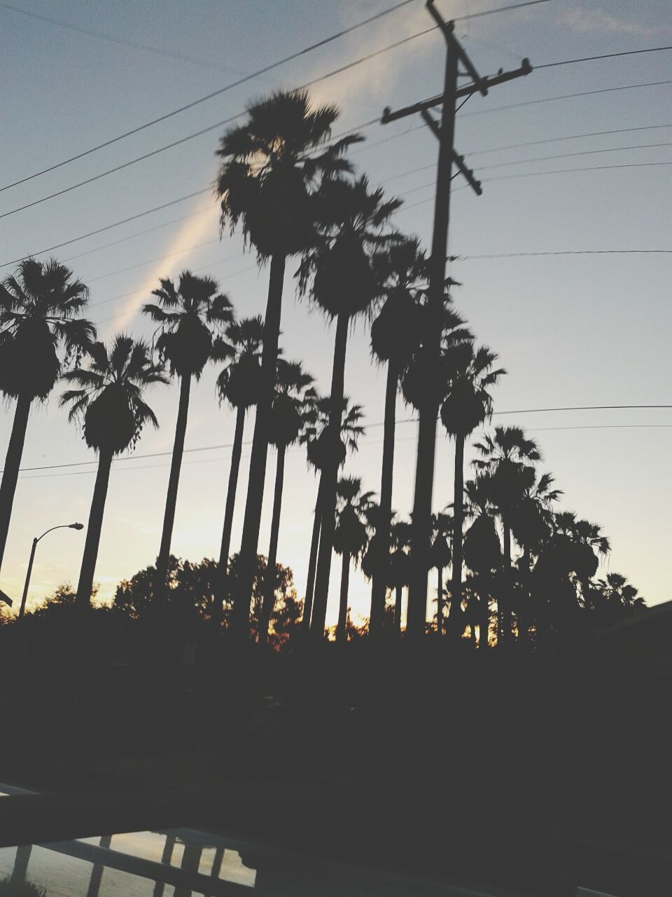 low angle view, power line, electricity pylon, power supply, cable, electricity, silhouette, connection, sky, fuel and power generation, sunset, technology, tree, power cable, palm tree, built structure, dusk, nature, no people, outdoors