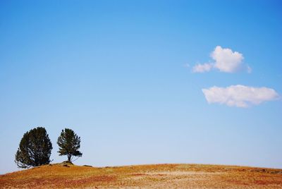 Scenic view of field against blue sky