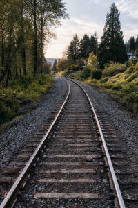 Railroad tracks by trees against sky