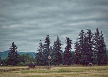 Trees on landscape against sky