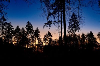 Silhouette trees in forest against clear sky