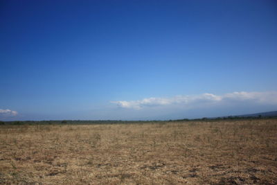 Scenic view of field against blue sky