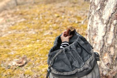 Low section of backpack with hand looking out 