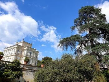 Low angle view of trees and building against sky