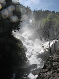 Scenic view of waterfall in forest