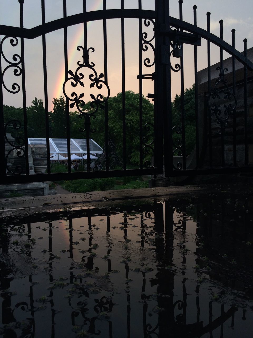 water, reflection, text, graffiti, day, metal, built structure, fence, tree, no people, railing, western script, outdoors, gate, nature, sky, architecture, bridge - man made structure, river, art