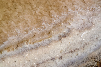 Full frame shot of food on beach