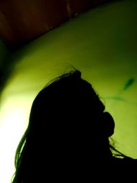Close-up of silhouette woman with leaves