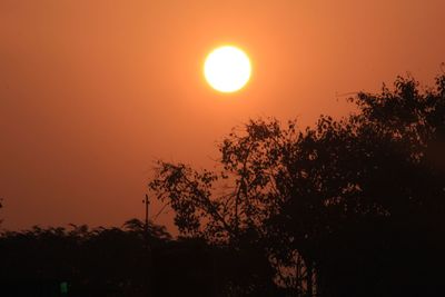 Low angle view of silhouette trees against orange sky