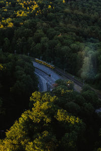 High angle view of road amidst trees in forest