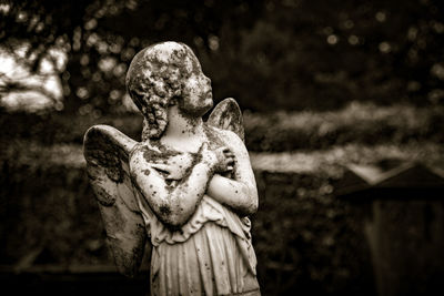 Sculpture of an old creepy cherub angel in the middle of a graveyard, full of lichen and mold